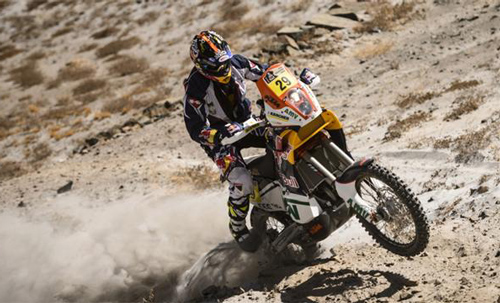 جنگجویان بیابان جنگجویان بیابان