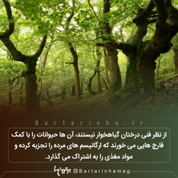 دانستنیهای جالب (۲۷۵) دانستنیهای جالب (۲۷۵)