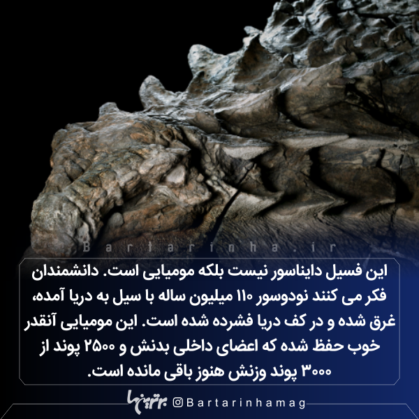 دانستنیهای جالب (۲۷۵) دانستنیهای جالب (۲۷۵)