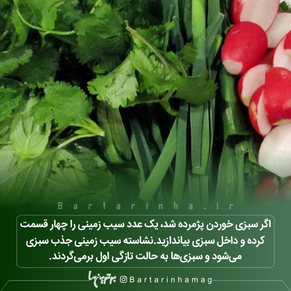 دانستنیهای جالب (۲۷۵) دانستنیهای جالب (۲۷۵)
