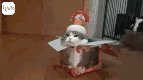 شوخی‌های جالب شبکه‌های اجتماعی (۵۱۶)