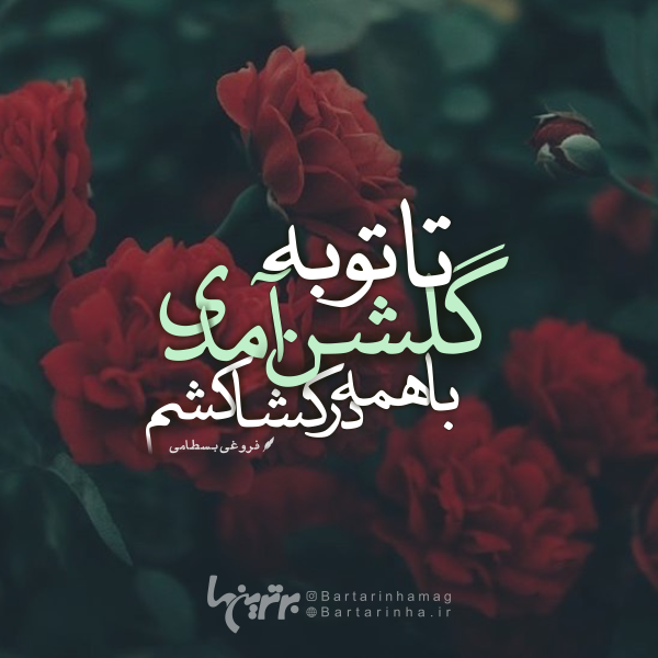 مینی شعر (۴۸۴) مینی شعر (۴۸۴)