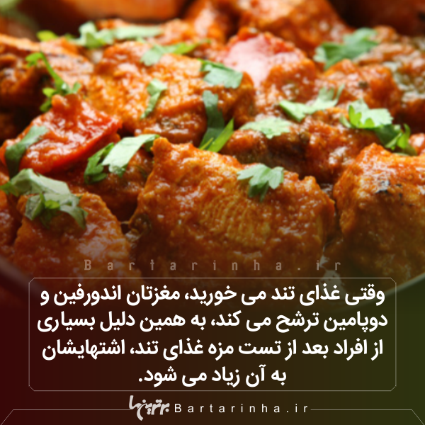 دانستنیهای جالب؛ از شیطان های تاسمانتی تا زنبورهای مست! دانستنیهای جالب؛ از شیطان های تاسمانتی تا زنبورهای مست!
