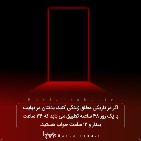 دانستنیهای جالب؛ از شیطان های تاسمانتی تا زنبورهای مست! دانستنیهای جالب؛ از شیطان های تاسمانتی تا زنبورهای مست!
