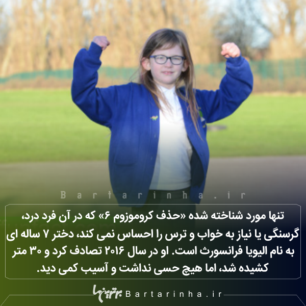 دانستنیهای جالب؛ از شیطان های تاسمانتی تا زنبورهای مست! دانستنیهای جالب؛ از شیطان های تاسمانتی تا زنبورهای مست!