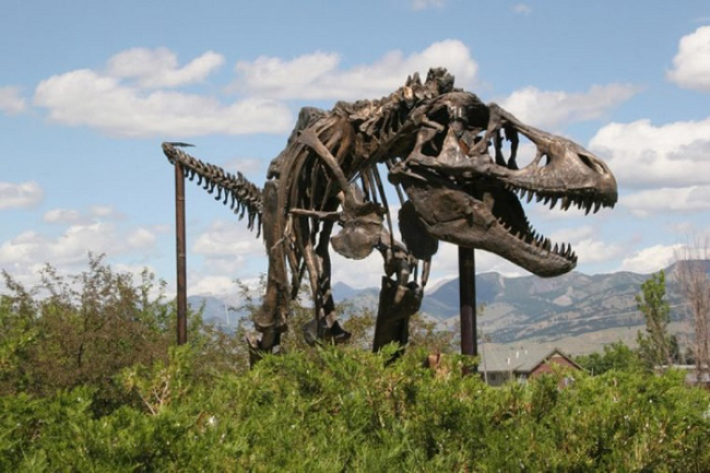 نگاهی به ۱۲ تصور اشتباه درباره دایناسور‌ها