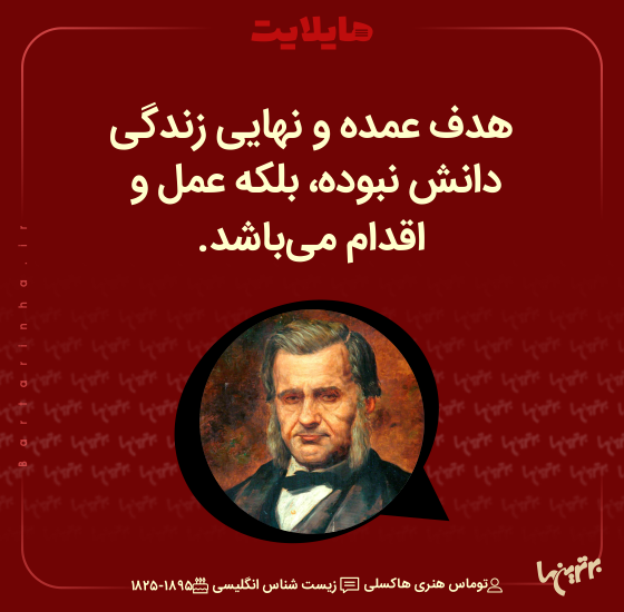 هایلایت (۵۱۷) هایلایت (۵۱۷)
