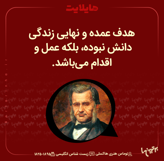 هایلایت (۵۱۷)