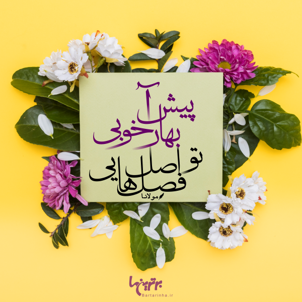 مینی شعر (۴۸۰) مینی شعر (۴۸۰)