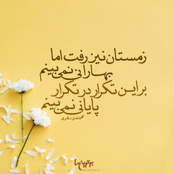 مینی شعر (۴۸۰) مینی شعر (۴۸۰)