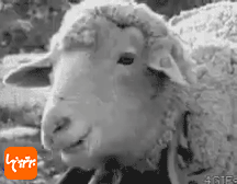 شوخی‌های جالب شبکه‌های اجتماعی (۴۹۱)