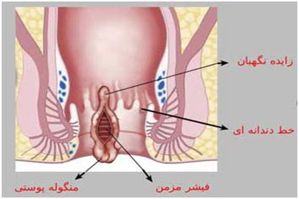 دکتر مهرداد رضایی