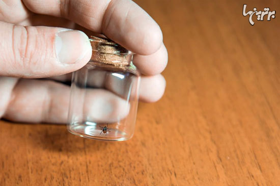 12 اشتباه رایجی که معمولا در انجام کمک های اولیه مرتکب می شویم 12 اشتباه رایجی که معمولا در انجام کمک های اولیه مرتکب می شویم