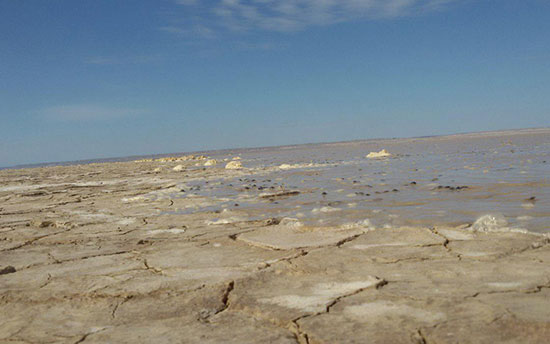 هیولای درون