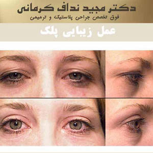 دکتر مجید نداف کرمانی