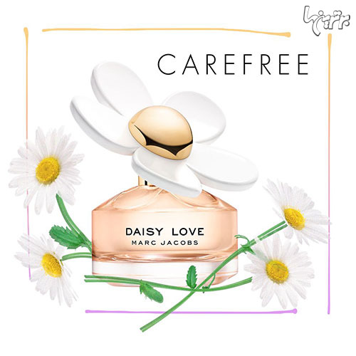 راهنمای انتخاب عطر براساس ویژگی شخصیتی خانم‌ها