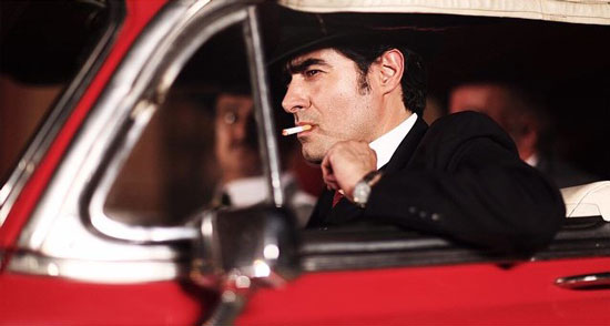 یک شجره نامه مرموز! یک شجره نامه مرموز!