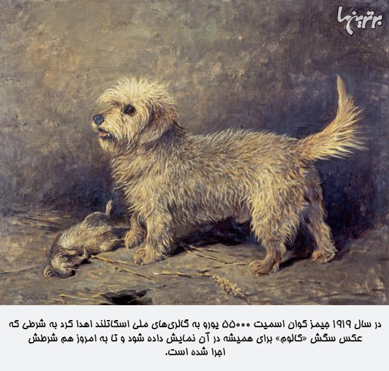 دانستنیهای جالب؛ از گل نرگس سمی تا مردان عشق آرایش کره ای! دانستنیهای جالب؛ از گل نرگس سمی تا مردان عشق آرایش کره ای!