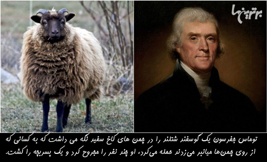 دانستنیهای جالب؛ از گل نرگس سمی تا مردان عشق آرایش کره ای! دانستنیهای جالب؛ از گل نرگس سمی تا مردان عشق آرایش کره ای!