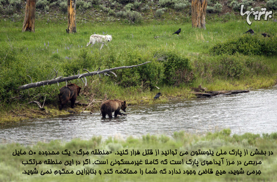 دانستنیهای جالب؛ از گل نرگس سمی تا مردان عشق آرایش کره ای! دانستنیهای جالب؛ از گل نرگس سمی تا مردان عشق آرایش کره ای!