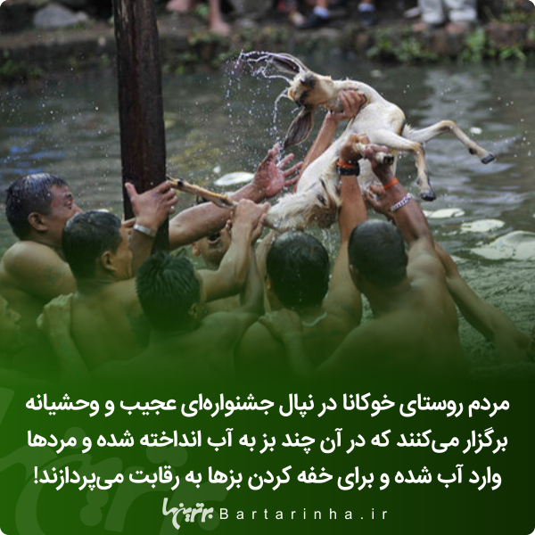 دانستنیهای جالب؛ از معیار تازه مردان برای ازدواج تا شیرینترین ماده جهان! دانستنیهای جالب؛ از معیار تازه مردان برای ازدواج تا شیرینترین ماده جهان!