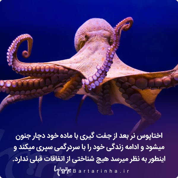دانستنیهای جالب؛ از معیار تازه مردان برای ازدواج تا شیرینترین ماده جهان! دانستنیهای جالب؛ از معیار تازه مردان برای ازدواج تا شیرینترین ماده جهان!