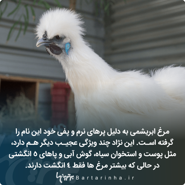دانستنیهای جالب؛ از معیار تازه مردان برای ازدواج تا شیرینترین ماده جهان! دانستنیهای جالب؛ از معیار تازه مردان برای ازدواج تا شیرینترین ماده جهان!
