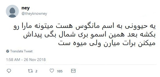 شوخی‌های جالب شبکه‌های اجتماعی؛ سیب زمینی ترشی