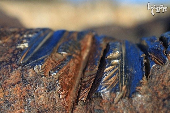بزرگترین شهاب سنگ روی زمین
