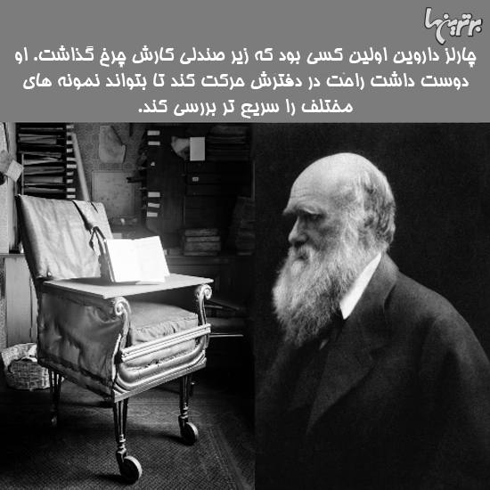 دانستنی های جالب؛ صندلی چرخدار داروین