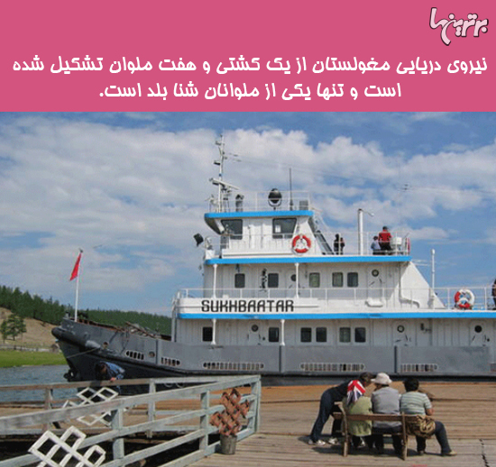 دانستنی های جالب؛ صندلی چرخدار داروین