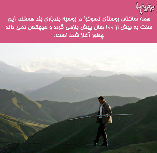 دانستنی های جالب؛ صندلی چرخدار داروین
