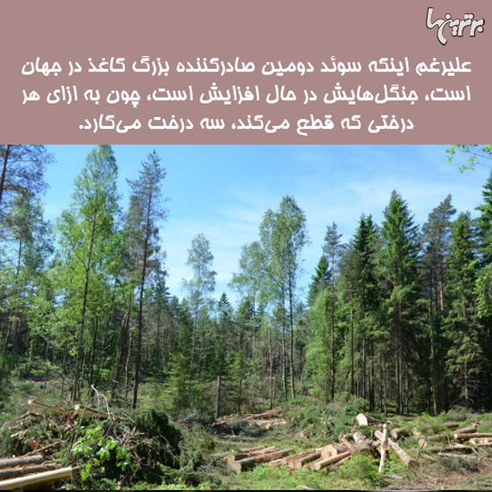 دانستنی های جالب؛ صندلی چرخدار داروین