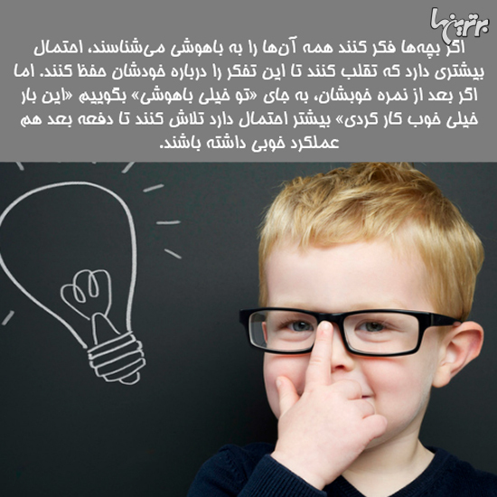 دانستنی های جالب؛ صندلی چرخدار داروین