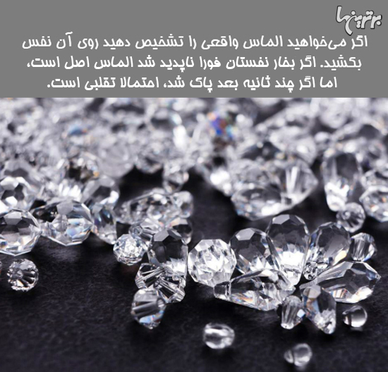 دانستنی های جالب؛ صندلی چرخدار داروین