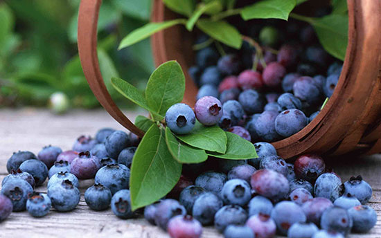 برای تمرکز چه بخوریم؟ (ناقص)