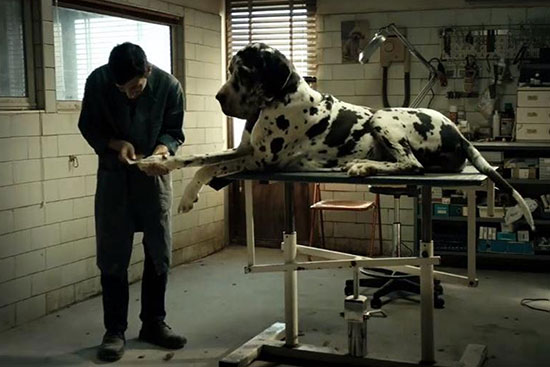 نقد فیلم مرد سگی Dogman ساخته متیو گارونه: پرتره‌ای عالی از یک کله‌خر جنایتکار