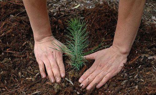 جالب ترین جریمه های مجرمین به جای حبس