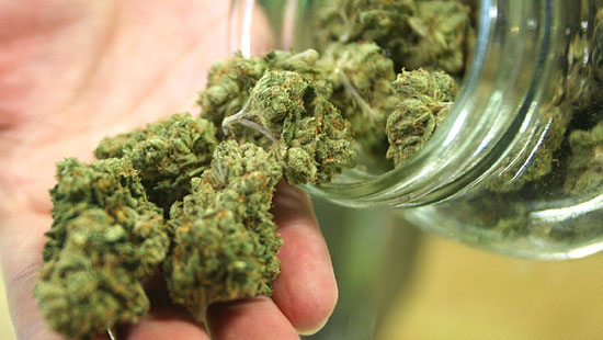 همه تصورات غلط درباره «گل»: دومین ماده مخدر شایع در ایران همه تصورات غلط درباره «گل»: دومین ماده مخدر شایع در ایران