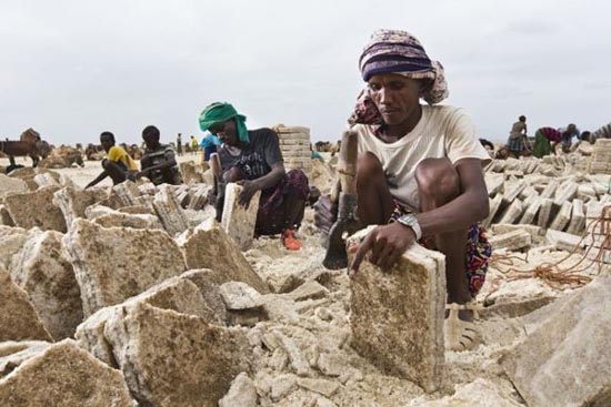 با سخت‌ترین مشاغل دنیا آشنا شوید