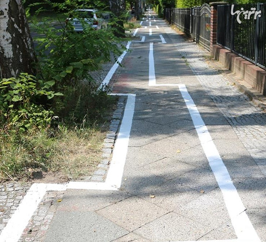 صحنه‌های غیرمنتظره‌ای که مردم در سفر با آن روبرو شدند!