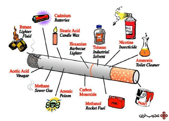 دانستنیهای سیگار؛ سیگاریها حتما بخوانند! دانستنیهای سیگار؛ سیگاریها حتما بخوانند!