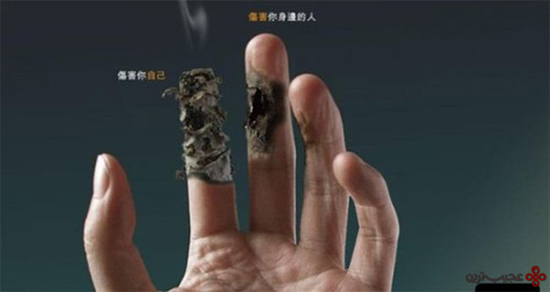 دانستنی‌های سیگار؛ سیگاری‌ها حتما بخوانند!