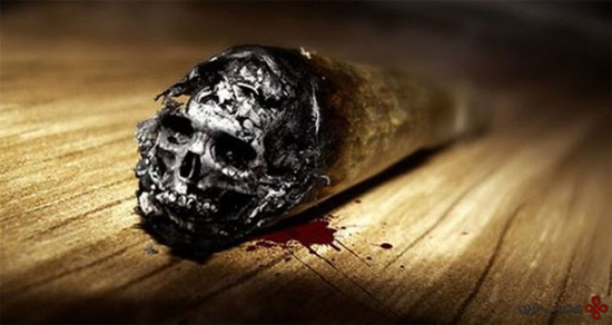 دانستنی‌های سیگار؛ سیگاری‌ها حتما بخوانند!