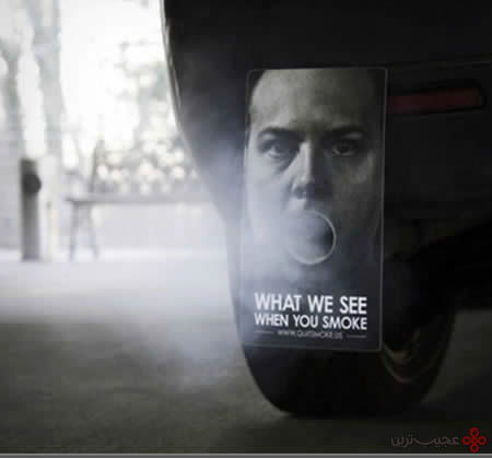 دانستنی‌های سیگار؛ سیگاری‌ها حتما بخوانند!