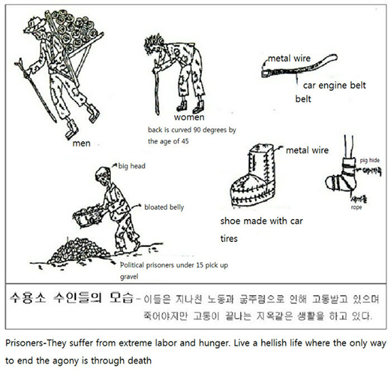 روایات هولناک و باورنکردنی از شکنجه زندانیان در کمپ‌های کار اجباری کره شمالی [قسمت اول]