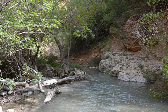 ۲۵ مکان دیدنی ایران برای سفر در فصل زمستان