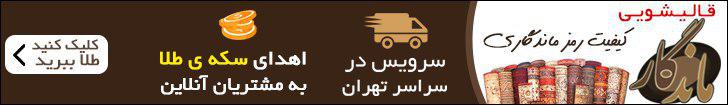 شستوشوی فرش خانگی شستوشوی فرش خانگی