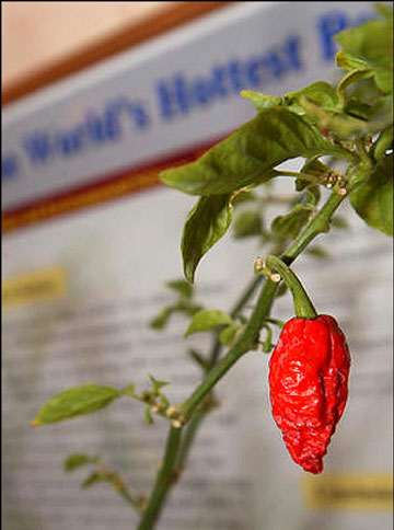 عجیب ترین واحدهای اندازه گیری دنیا
