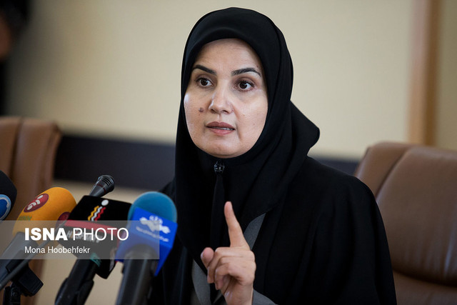 ایجاد مزاحمت برای هواپیمای مسافربری ماهان قابلیت تعقیب حقوقی به دنبال دارد